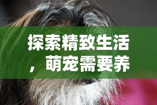 (英雄310)英雄三十分绝技揭秘：攻略大全指引你轻松登顶排行榜