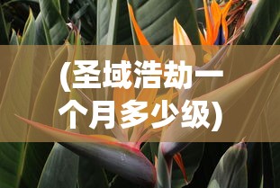 (神武85剧情奖励)神武85剧情攻略，深入解析与常见问答