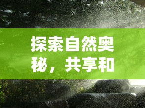 探索自然奥秘，共享和谐家园：鼹鼠同行之森林之家官方版揭秘森林生态环境的丰富多样性与可持续发展之道