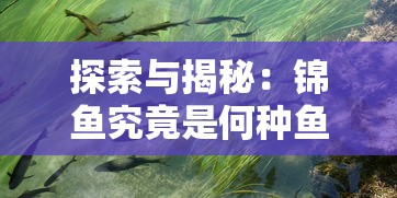 探索与揭秘：锦鱼究竟是何种鱼类，其独特的生存环境和繁殖习性揭示了什么?