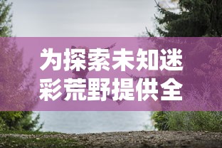 为探索未知迷彩荒野提供全方位解析：荒野冒险世界攻略大全之生存、探索与战斗策略全解析