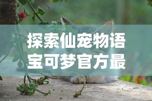 探索仙宠物语宝可梦官方最新公布：面向全球的挑战赛事与神秘新品种宠物吸引众多粉丝关注