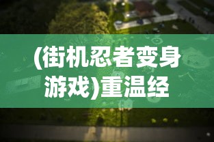 研究揭秘：《皇上吉祥2》老版本游戏在现代网络环境下的玩家粘性与影响力分析