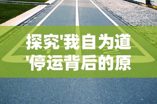 探究'我自为道'停运背后的原因：市场竞争压力、运营困难，或是政策监管的影响？