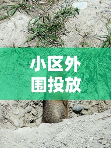 (自由之战2下架了吗知乎)自由之战2，曾经的辉煌与如今的沉寂——一款经典MOBA游戏的兴衰之路