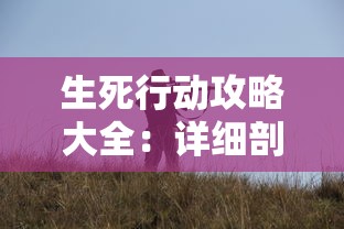 深度解析文字江湖容貌等级：以正义与邪恶的形象塑造为视角探讨角色塑造