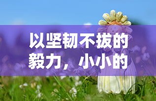 以坚韧不拔的毅力，小小的你像个小勇士：探讨现代儿童如何面对生活挫折与困难的积极状况