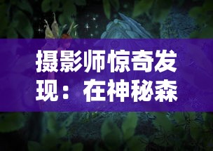 摄影师惊奇发现：在神秘森林中拍到真正的独角兽，证实神话传说中的神秘生物真实存在