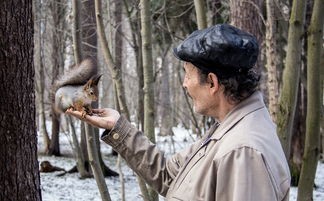 武侠世界最强阵容：从金庸到古龙，闲侠英雄组合最全推荐，揭示武林世界最强力量