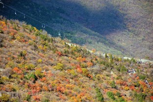 (国战天下九游版苹果)国战天下九游版，一场跨越时空的传奇之旅