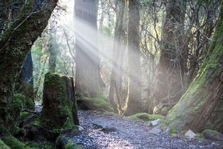 真正的原始生活：原始陌生男女荒野森林生存21天，体验纯自然野外求生的艰难和冒险