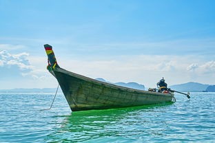 详尽探索：跨足神秘海洋世界，全面解析水族馆里的100种生机勃勃的动物种类