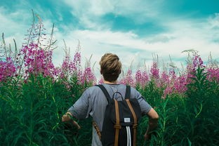 (雄霸后期打得过无名吗)雄霸后期的补充内容分析，多元化视角下的探讨