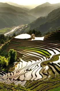 (山海镜花t0阵容图解2024)山海镜花是一款以中国古代神话为背景的卡牌游戏，其中T0阵容是玩家们追求的最高荣誉。以下将从多个角度对山海镜花T0阵容进行详细介绍，并回答一些常见问题。