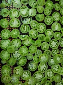 (植物大战僵尸原版电脑版下载)植物大战僵尸，原版电脑版补充内容解析与多元化分析