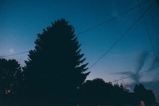 (夕阳之歌百科介绍)夕阳之歌，一首跨越时空的旋律
