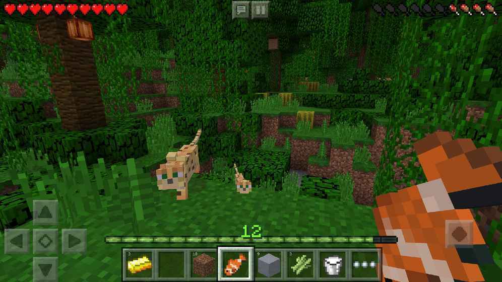 minecraft1.22国际版钻石下载-minecraft1.22国际版可化妆无广告版下载v.8.48