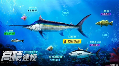 鱼吃鱼免费手游下载最新版-鱼吃鱼免费2024免广告最新版下载2024v.1.89