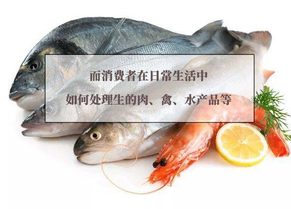肉鸽鱼吃鱼免广告版中文版安卓下载-肉鸽鱼吃鱼免广告版手游正版下载v.9.50